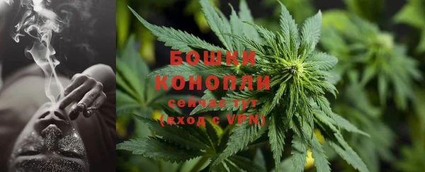 спиды Зеленокумск