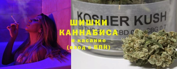 тгк Заводоуковск