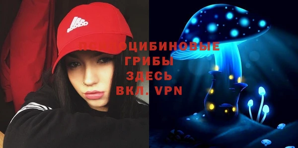 тгк Заводоуковск
