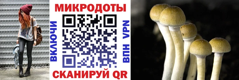 Галлюциногенные грибы мухоморы  Купить где  Каменногорск 