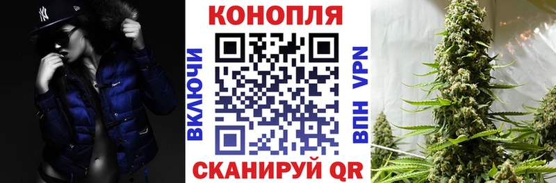 Купить закладки  Каменногорск  Шишки марихуана семена 